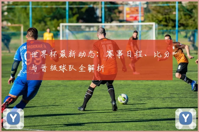 世界杯最新动态:赛事日程、比分与晋级球队全解析