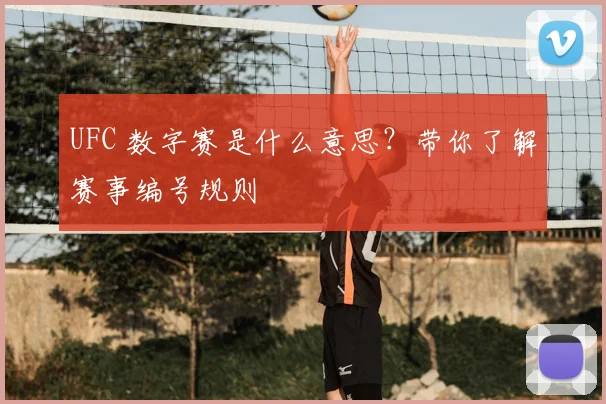 UFC 数字赛是什么意思？带你了解赛事编号规则