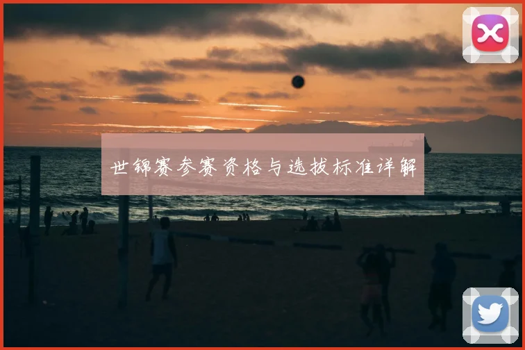 世锦赛参赛资格与选拔标准详解